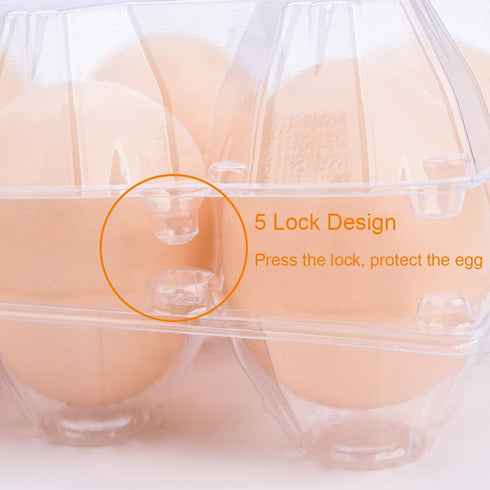 60 Packs, 12 Egg Cartons Clear Plastic Blank Egg Cartons with Free Labels, Holds up to Eggs Securely, Perfect