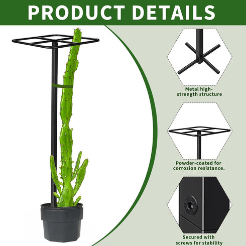 1 12"x12"x50", No-Hammer Pcs Heavy Duty Dragon Fruit Trellis Adjustable Metal Dragon Plant Support Stand, Durable