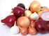 200 Multicolor Onion Seed Mx for Planting About Seeds