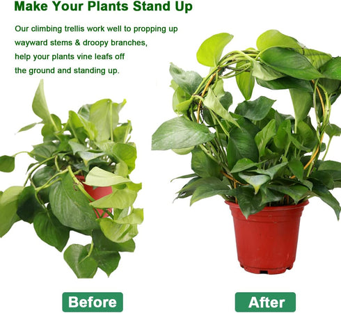 Kiouposy 2 Pack 15" Circle Trellis for Climbing Plants Indoor, Gold Small Plant Support Stakes, Flower Houseplant Hoya