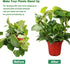 Kiouposy 2 Pack 15" Circle Trellis for Climbing Plants Indoor, Gold Small Plant Support Stakes, Flower Houseplant Hoya
