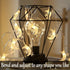 Fielegen 40 LED Moon String Lights - Battery Operated 20ft Mini Star Fairy Lights for Garden, Wedding, Party Decorations