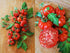 Harley Seeds 30 Costoluto Genovese Pomodoro Tomato Seeds, Heirloom Non-GMO, Low Acid, Indeterminate, Open-Pollinated