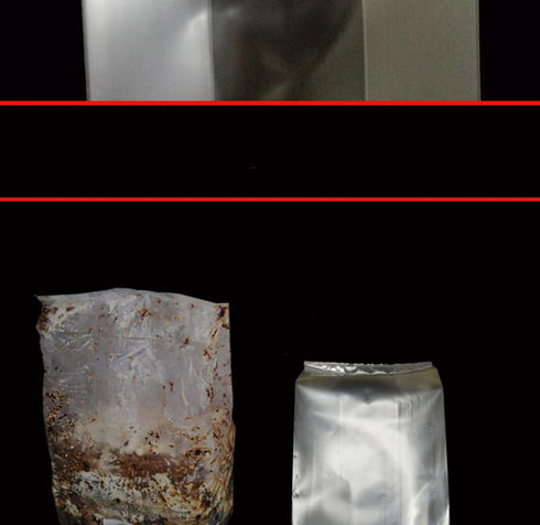 10 Count 5" 5" 19", 0.2 2.5 SUCOHANS Mushroom Bags - Medium Size X X Micron Filter, Mil Polypropylene, Sealable Spawn