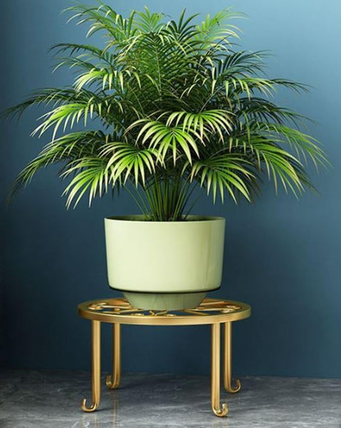 Hewnda 1 Pack Sturdy Gold Metal Plant Stand - Heavy Duty Indoor/Outdoor Use