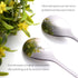 AnSaw Elegant Silver Leaf Coffee Spoons - 10-Piece Mini Stainless Steel Espresso & Dessert Tea Spoons, 4.7"