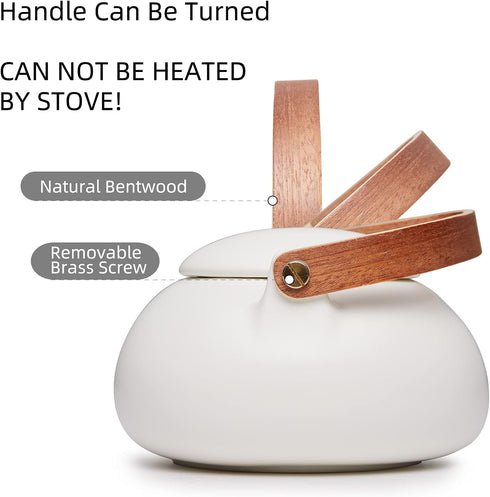 2cup 800ml ZENS Teapot with Infuser, Ceramic Japanese Teapot for Loose Leaf Tea, Small Matte White Porcelain Tea Pot