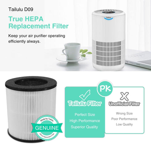 Air Purifier Replacement Filter for D09 Air Cleaner, 3-in-1 True H13 HEPA Filter, 1 Pack