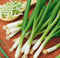 Delicious Salad Green Onion Scallions Seeds - Easy to Grow - 1600