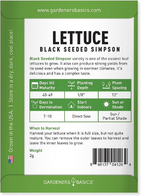 2 Summer, Gardeners Basics, Green Leaf Lettuce Seeds for Planting - (Black Seeded Simpson Variety) Heirloom, Non-GMO