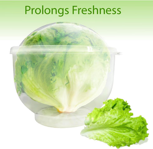 Trenton Gifts Lettuce and Vegetable Storage Keeper - 7" x 8"