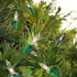 HOLIDAY TIME 100 21.5 (3 Pack Clear Mini Lights Green Wire FT. Bundle)