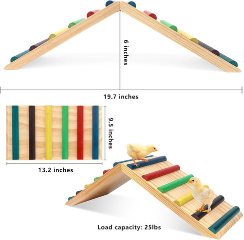 2 1 Rainbow Chicken Perch and Ramp Trainer, in Sturdy Wooden Chicken Roosting Bar, Baby Chick Toys for Brooder, Chicken
