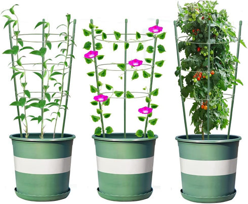 Alliico 3 Pack 12 (36") Plant Support Cages for Climbing Plant Upgrade Flower Tomato cage with Stand Stakes and Stable