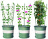 Alliico 3 Pack 12 (36") Plant Support Cages for Climbing Plant Upgrade Flower Tomato cage with Stand Stakes and Stable