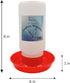1-Quart Plastic Chicken Waterer and Chick Drinker | Durable Watering Container for Chickens, Ducks, Ducklings, Chicks