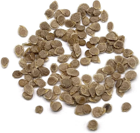 Purely Organic Products LLC 75 Organic Tomato Seeds (Roma) - Approx Seeds - USDA Organic, Non-GMO, Open Pollinated