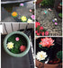 7Pcs Artificial Lotus Flower Pool Aquarium Decoration, 3.9 Inch Eternal Flower (White)