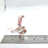 Snake/Cobra Miniature Figurines, Hand Blown Glass Art Collectible Gift for Home Decor (Multi-Red)