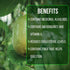 (4 Pack) 'Giant Granadilla' Passion Fruit Vines Live Starter Plants for Planting, Ideal for Creating Lush Garden
