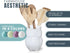 Comfify Owl Utensil Holder Decorative Ceramic Cookware Crock & Organizer, in Lovely White Color - Utensil Shaped Caddy and Perfect Kitchen Ceramic Décor Gift for Countertop - 5” x 7” x 4” Size