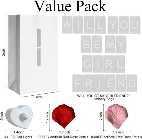 30PC 2000PC Will You Be My Girlfriend Light Up Letters Luminary Bags, Banner, Romantic Decoration Kit with Bright LED
