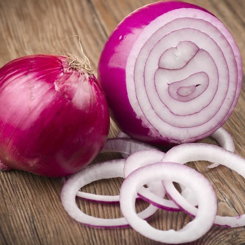 Sets (Bulbs) 1 Set 2026 TomorrowSeeds - Karmen Red Onion Seeds - Pound - Variable Sizes - for Planting Gardening Sweet