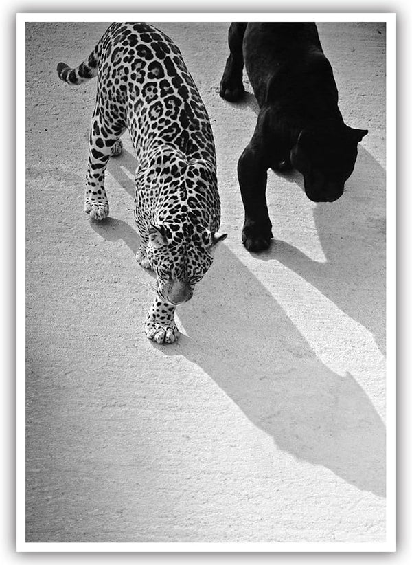 Exaricucer Fashion Black and White Wall Art Decor Vintage Cheetah and Jaguar Walking