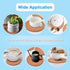 2-Pack 8" Round Cork Coasters, Absorbent Plant Saucers & Trivets for Hot Pots, DIY Craft Board