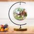 11 Inch Iron Pothook Stand for Hanging Glass Terrariums