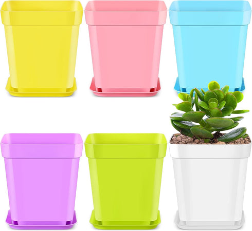 Zubebe 240 Pack Plastic Seedling Pots 3 Inch Flower Pots Small Square