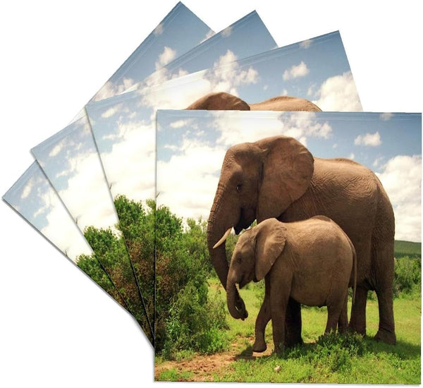 3dRose CST_44876_3 Mama N Baby Elephants in Wild, Ceramic Tile Coasters, Set of 4