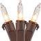Northlight Mini Incandescent Christmas Lights - Clear - 4' Brown Wire -