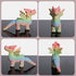 Zonling Cute Winged Dragons Decor for Home Desk Bookshelf, Unique Gift for Friends and Family, Mini Dragon Figurine