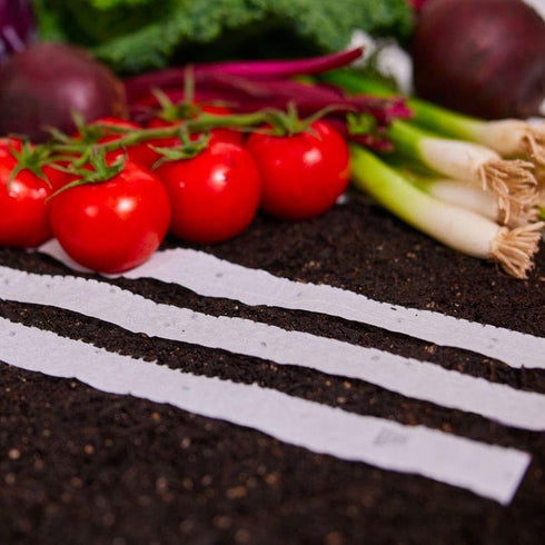 15 60 Park Seed Sow Effortless Collection Seed Tape Little Finger Carrot, Feet Easy DIY Planting, Sweet Baby Carrots