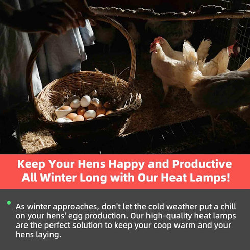 LEWINHOOK lamp300 Chicken Coop Heater Inside Coop heat Watt Two-Stage Temperature Brooder Heater for Chicks