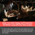 LEWINHOOK lamp300 Chicken Coop Heater Inside Coop heat Watt Two-Stage Temperature Brooder Heater for Chicks