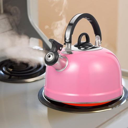 Lurrose Pink Teapot, Whistling Stainless Steel Tea Kettle for Home, Dorm, Apartment