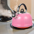 Lurrose Pink Teapot, Whistling Stainless Steel Tea Kettle for Home, Dorm, Apartment