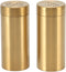 DEWIN 2Pcs Gold Spice Jar, Stainless Steel Rustproof Screw Open Top Seasoning Shaker for Salt, Sugar, Pepper