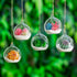 12 Pcs 3.15"/8cm Hanging Glass Tealight Holder, Globe Plant Terrariums for Indoor Outdoor Garden Decor