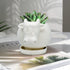 White Cow Ceramic Succulent Planter with Drainage Tray, Indoor Cow Stuff Pen Pencil Brush Holder Decor