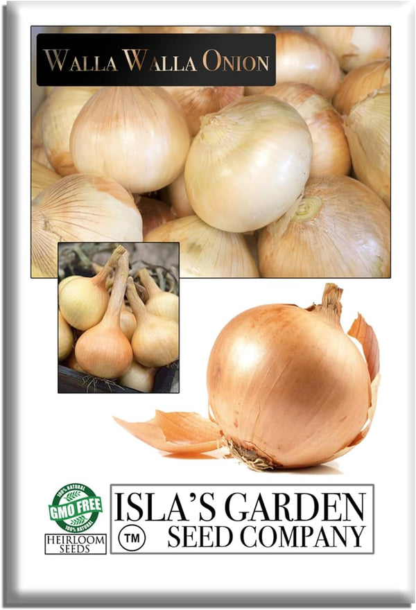Walla Walla Sweet Spanish Onion Seeds (Allium cepa) 300+ Non-GMO Heirloom Seeds