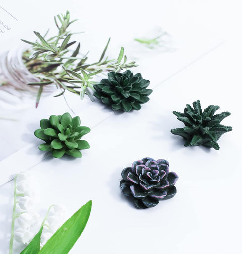 Plant Pattern 3D Resin Succulent Fridge Magnets, Set of 8 White Board Magnets for Home Office Display