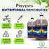 (1 Premium pH Up Solution - Corrects pH Imbalances, Maximizes Nutrient Absorption, Prevents Sickly Plants | Plant pH