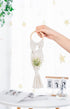 4 Pack Melphoe Air Plants Holders Stand Air Fern Macrame Plant Hanger Indoor Hanging Planter Basket for Tillandsias
