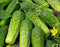 Seed Kingdom Cucumber Boston Pickling Great Heirloom Vegetable Seeds by (1 Lb Seeds)