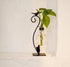 Plant Terrarium, Hydroponic Vases for Home Decoration, Modern Creative Bird Terrarium Stand, Ideal Gifts