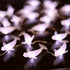 30 10ft Ocean Theme White Beluga Whale Fairy String Lights, Nautical Dcor Cute Dolphin Decorative Lights Sea Canaries