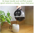 Coffee Machine Replacement 12-CUP Glass Pot, Compatible with Kitchenaid, Cuisinart, Capresso, Gourmia, Krups